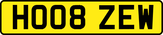 HO08ZEW