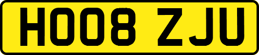 HO08ZJU