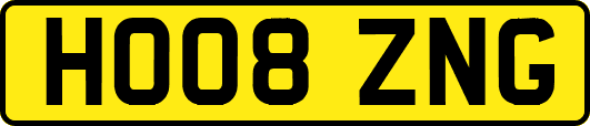 HO08ZNG