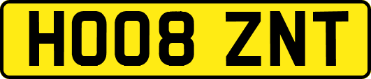HO08ZNT