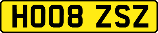 HO08ZSZ