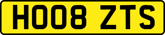 HO08ZTS