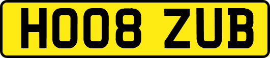 HO08ZUB