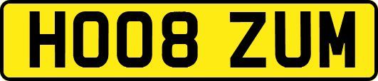 HO08ZUM