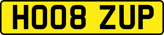 HO08ZUP