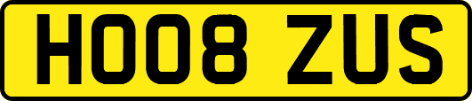 HO08ZUS