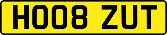 HO08ZUT
