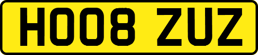 HO08ZUZ