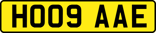 HO09AAE