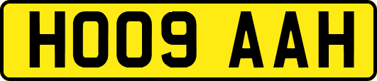 HO09AAH
