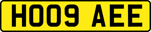 HO09AEE