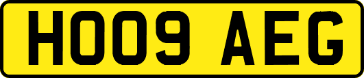 HO09AEG