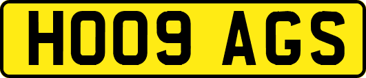 HO09AGS