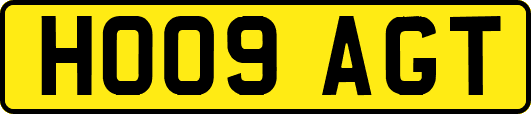 HO09AGT