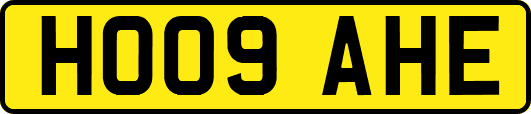 HO09AHE
