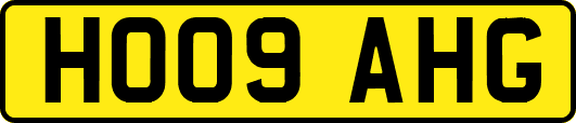 HO09AHG