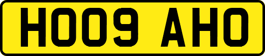 HO09AHO
