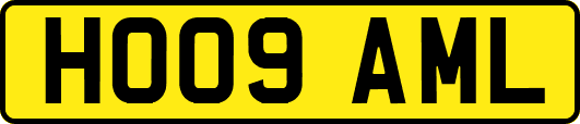 HO09AML