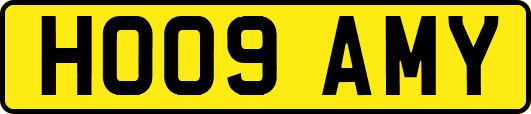 HO09AMY