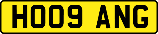 HO09ANG