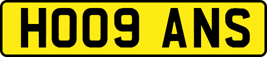 HO09ANS