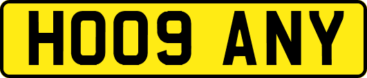 HO09ANY