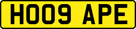 HO09APE