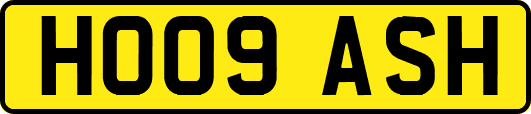 HO09ASH