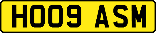 HO09ASM
