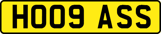 HO09ASS