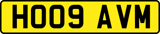HO09AVM
