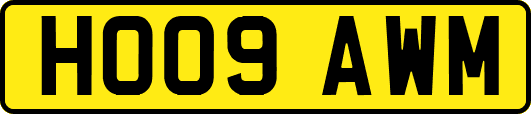 HO09AWM
