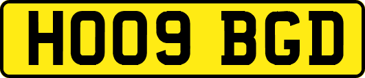 HO09BGD