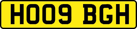 HO09BGH