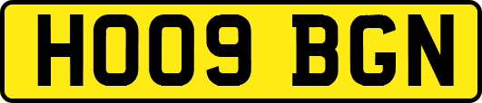 HO09BGN