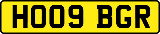 HO09BGR