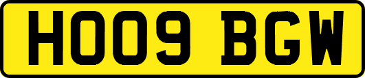 HO09BGW