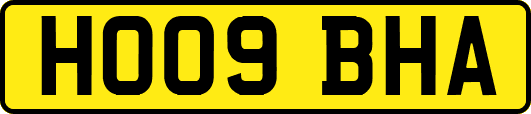 HO09BHA
