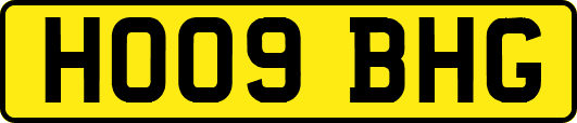 HO09BHG
