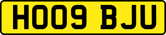 HO09BJU