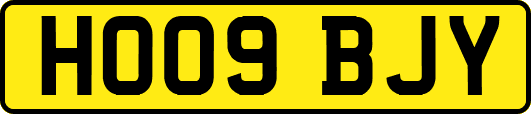 HO09BJY