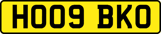 HO09BKO