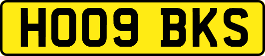 HO09BKS