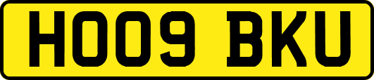 HO09BKU