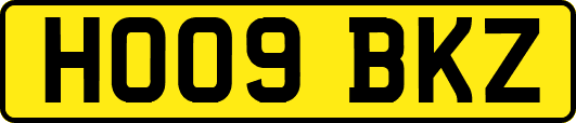 HO09BKZ