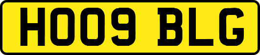 HO09BLG