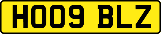 HO09BLZ