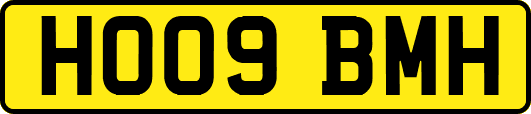 HO09BMH