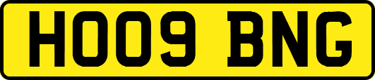 HO09BNG