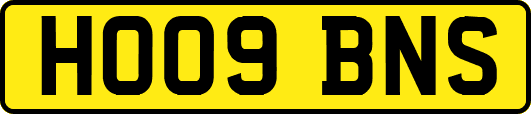 HO09BNS